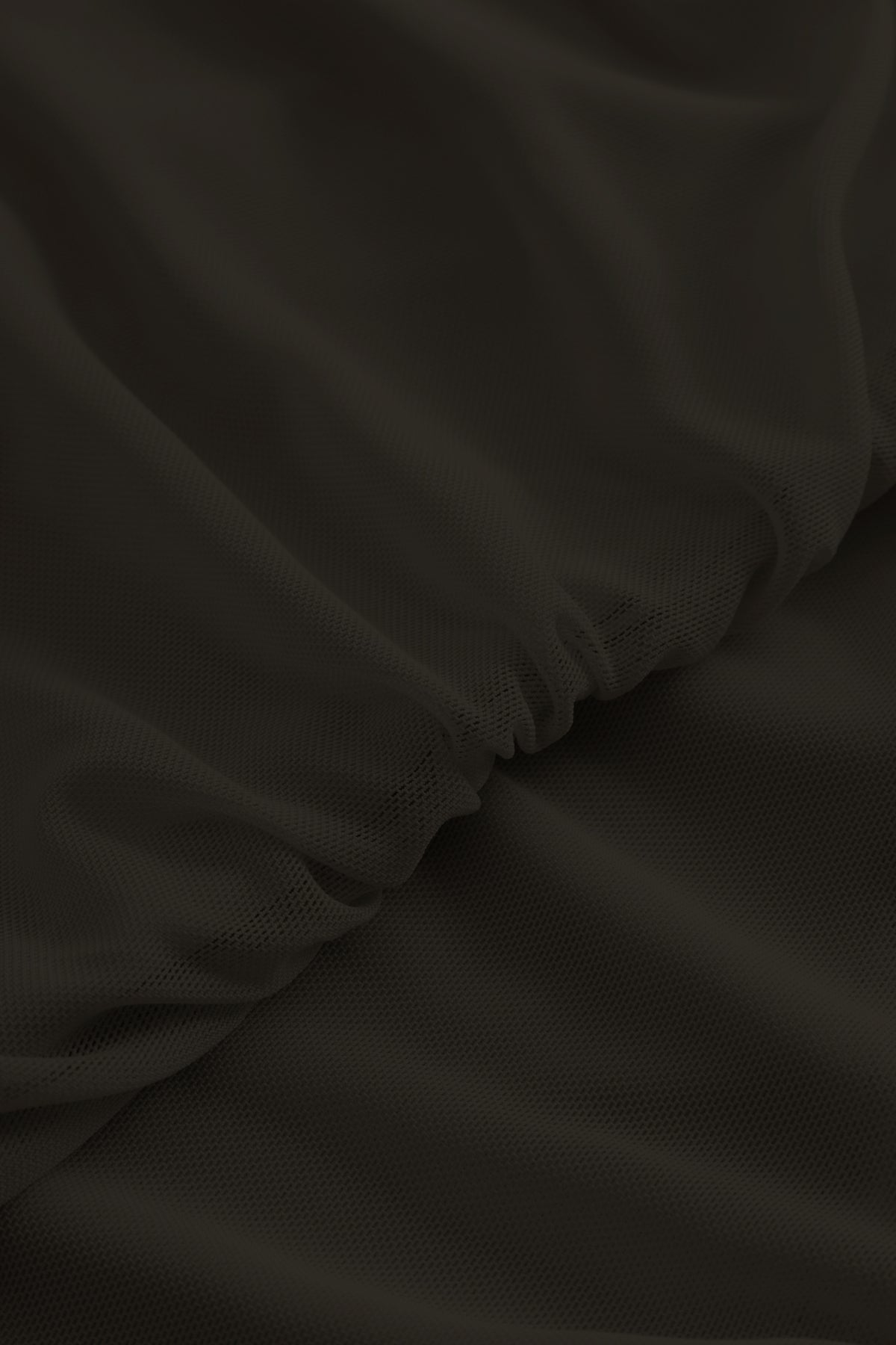 closeup